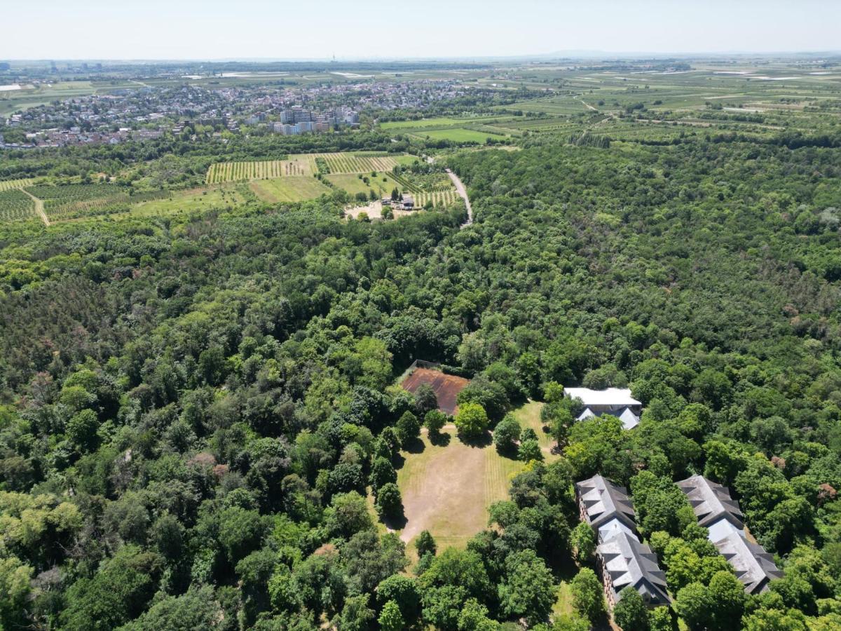 Ferienhaus Budenheim Dış mekan fotoğraf