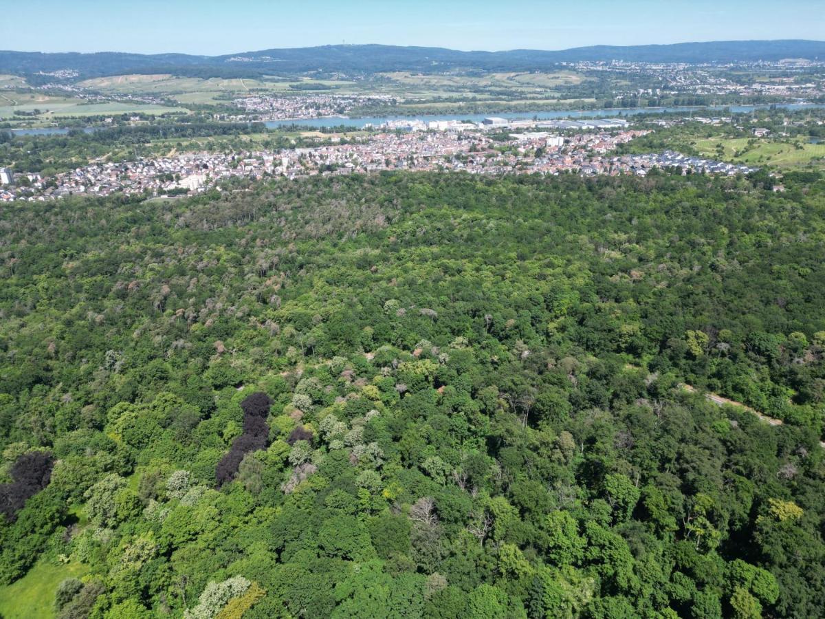 Ferienhaus Budenheim Dış mekan fotoğraf